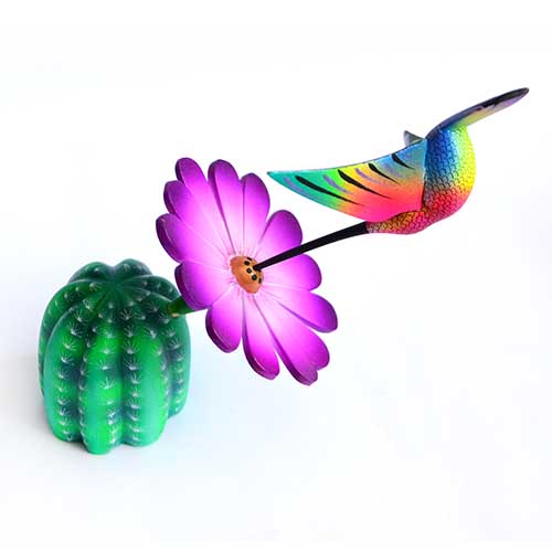 Cactus - Colibrí - Hummingbird