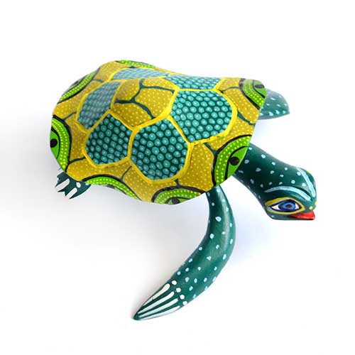 Turtle - Tortuga