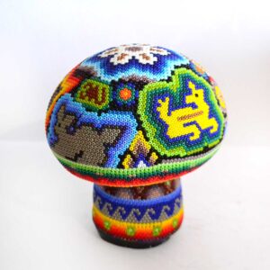 Musrooms - Huichol
